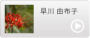 早川 由布子
